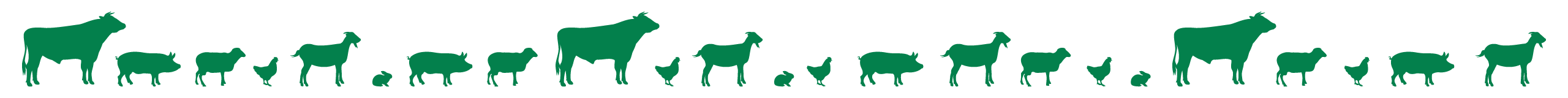 Show Season Animals Icon Images
