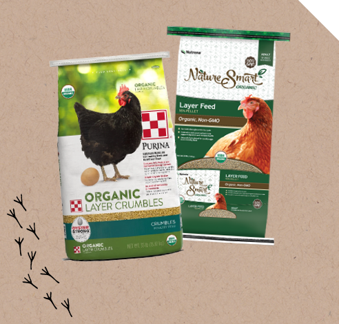 Organic Chicken Feed