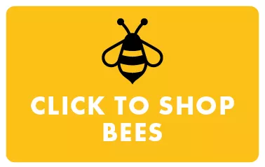 Shop Bees