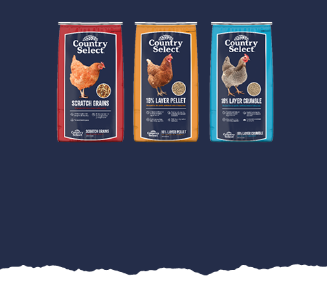 Country Select Chicken Feed