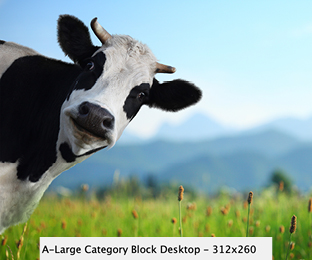 category block image