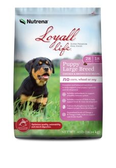 Nutrena large breed puppy food hotsell