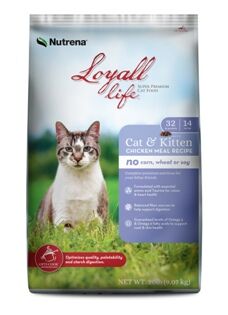 Loyall Life Chicken Recipe Dry Cat Kitten Food 20 Lb Food