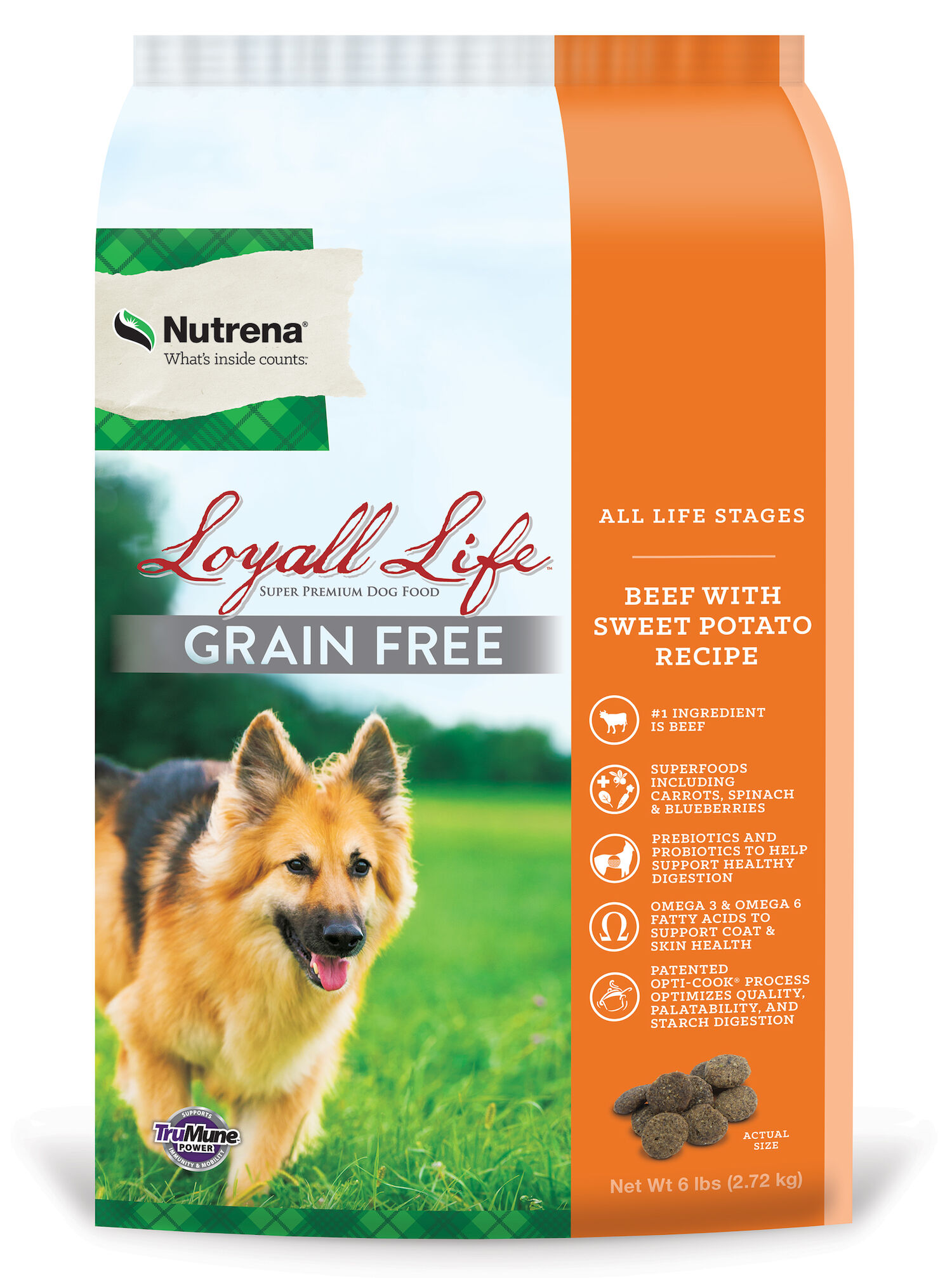 Loyall Life Grain Free Beef Sweet Potato All Life Stages Dog Food 6 Lb Bag