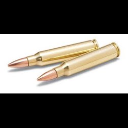 Ammunition - click or tap to browse Ammunition from Coastal